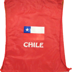 Bolso Chile